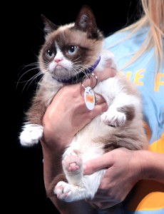 Grumpy_Cat_by_Gage_Skidmore